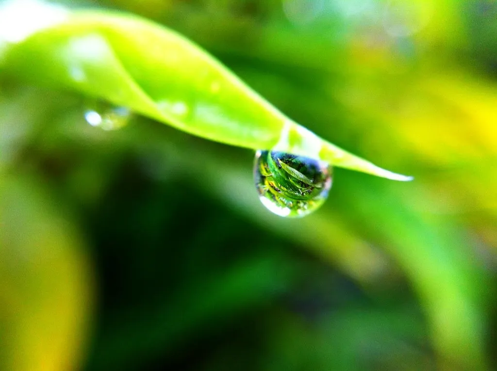 雨の季節が来ましたね・・・